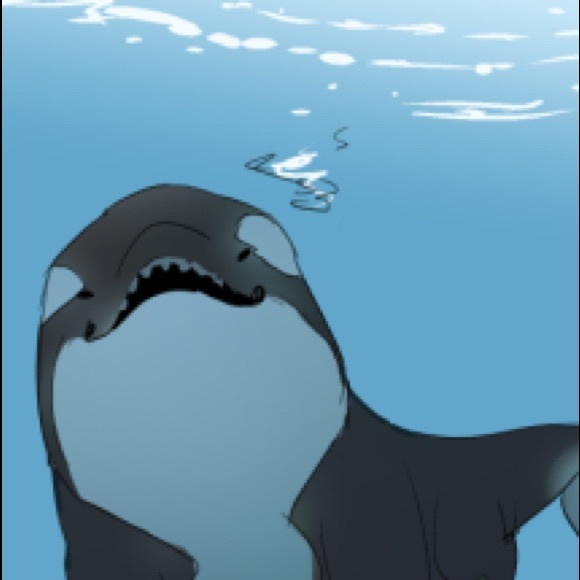 Meet your Posher, Jay - Picture 1 of 1